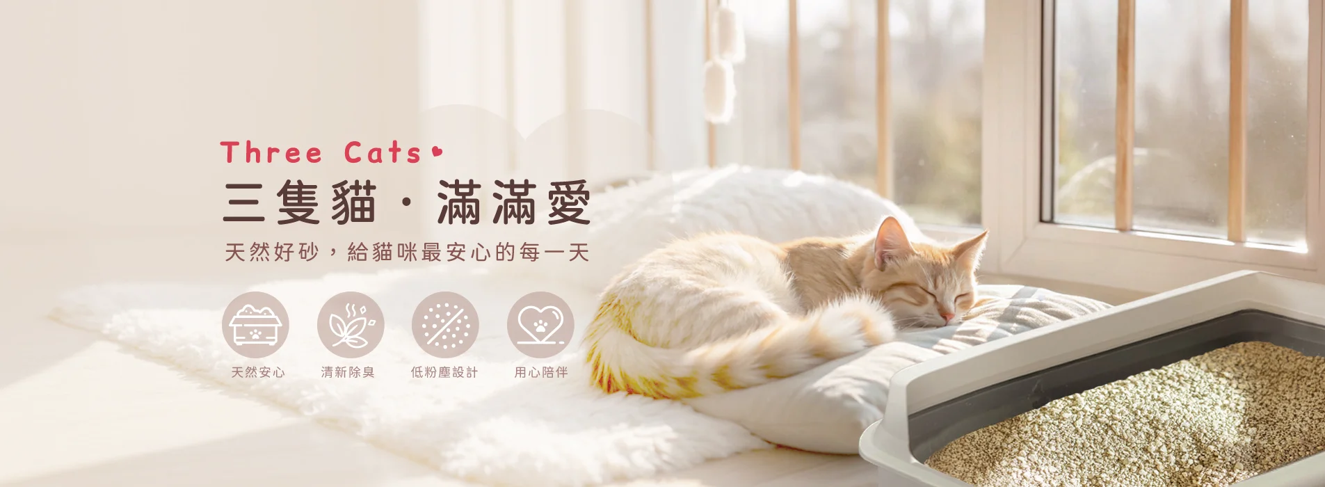 banner.webp